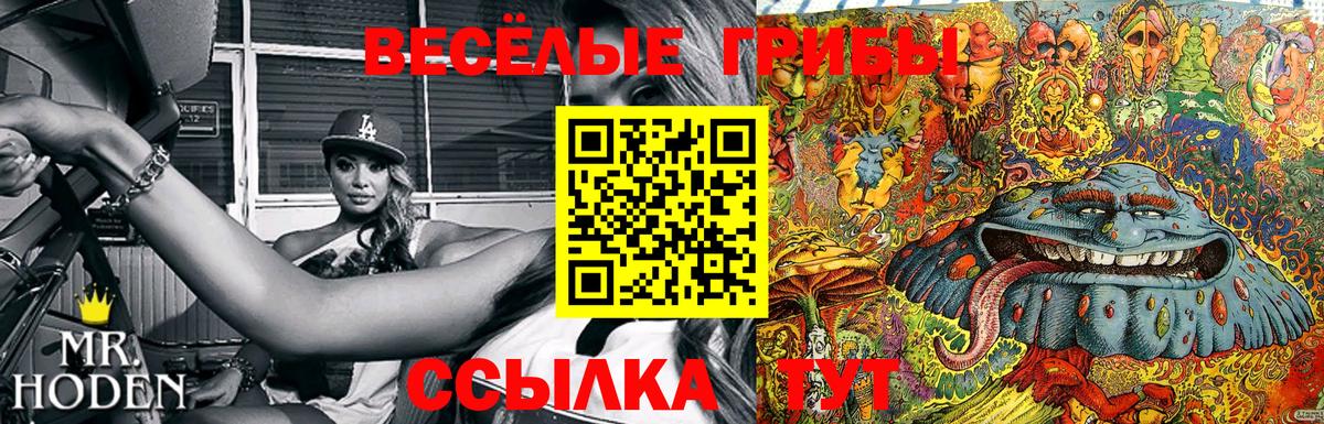 Псилоцибиновые грибы мицелий Саянск